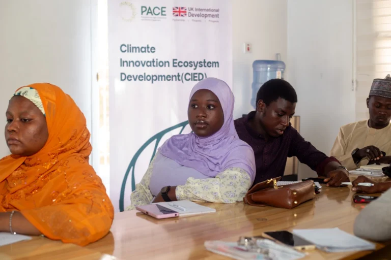 Startup founders participating in a CIED climate innovation bootcamp workshop at Startup Kano.