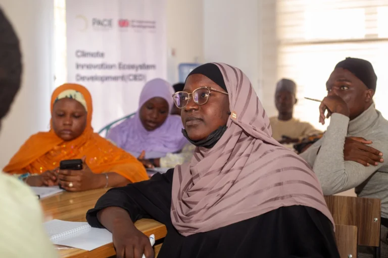 The Math of Sustainability Towards Net Zero